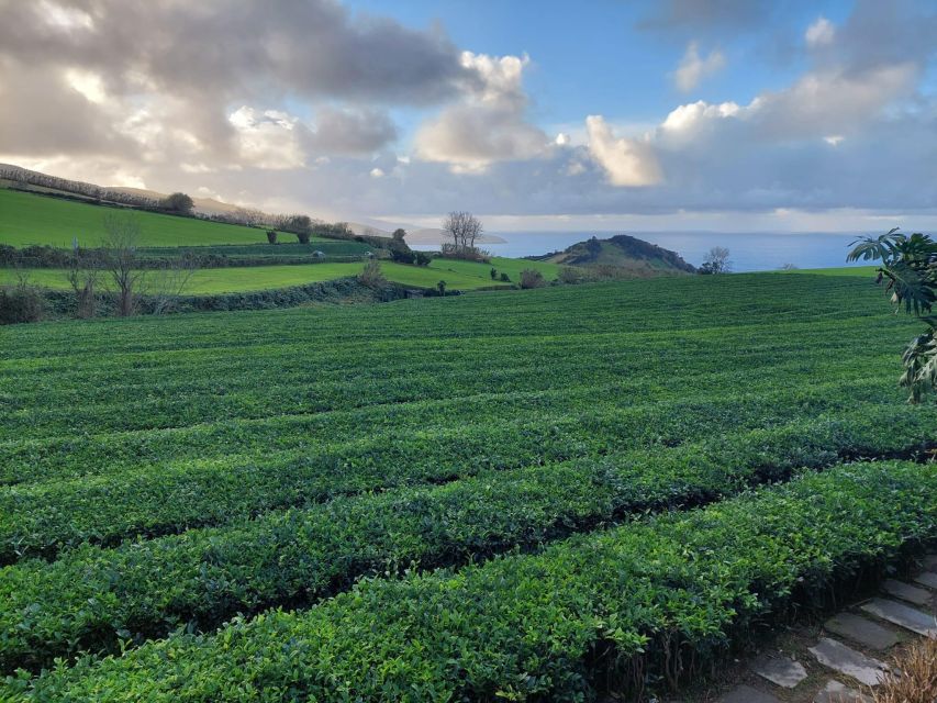 Sao Miguel : Furnas Full Day Tour With Lunch Included - Frequently Asked Questions