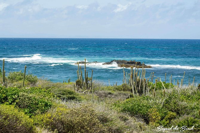 Savane Des Petrifications Hike - Safety and Accessibility Considerations