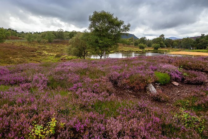 Scottish Highland Games Day Trip From Edinburgh - Blair Castle and Gardens