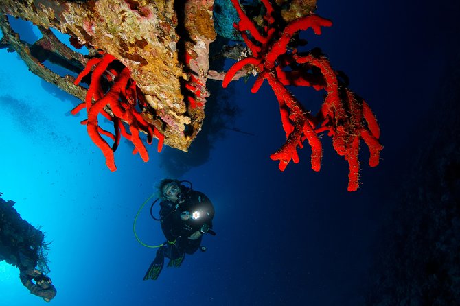 Scuba Diving for Certified Divers - Group Size and Capacity