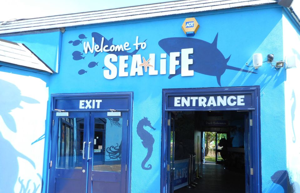 Sea Life Weymouth Admission Ticket - Meeting Point