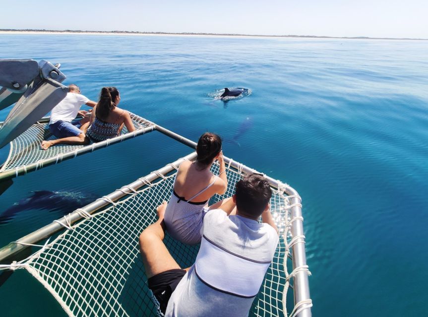 Setúbal: Dolphin Watching Tour - Contact and Availability