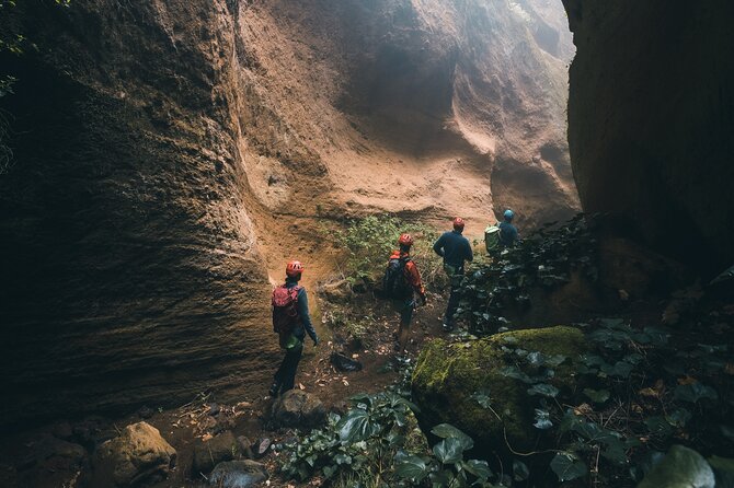 Small-Group Half-Day Canyoning in La Orotava - Group Size and Age