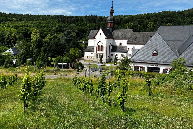 Small Group Rheingau Vineyards Tour With Castles and Abbeys - Rheingau Vineyards