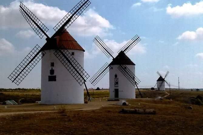 Small Group Tour to Toledo, Windmills & Winery Tour With Lunch - Accessibility and Policies