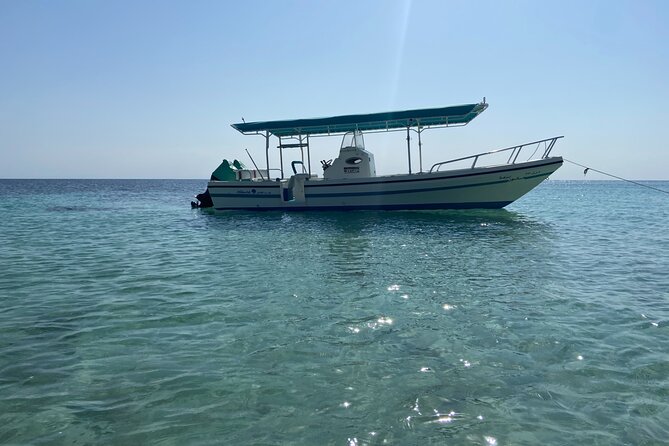 Snorkeling at Dimaniyat Islands and Dolphin Watching - Convenience and Accessibility