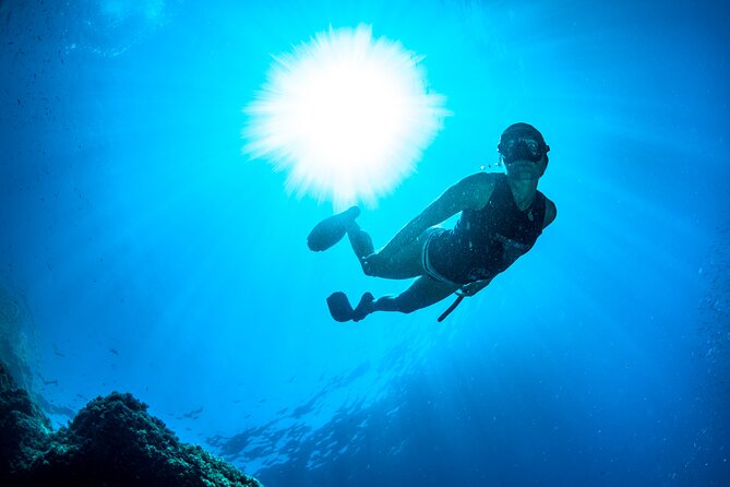 Snorkeling With Marine Biologist Expert From Sorrento - Reviews and Recognition of the Tour