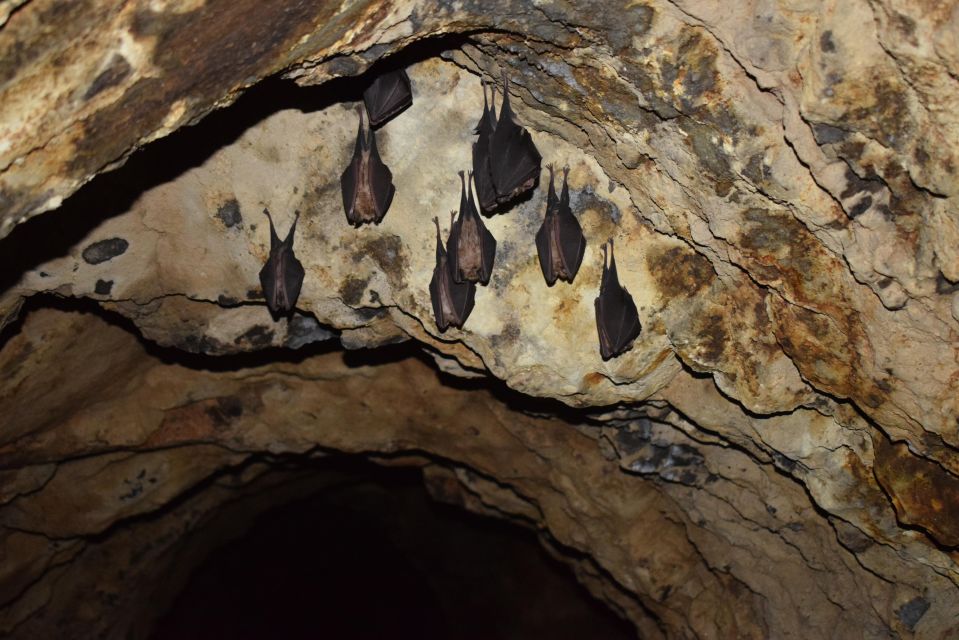 Speleology in the Arouca Geopark´s Tungsten Mines - Preparation and Important Information