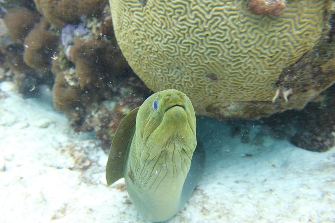 Starfish Point, Stingray City-Sandbar & Coral Gardens - Meeting and Pickup Locations