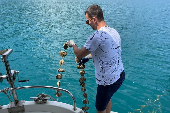 Ston Seafood & PelješA Wine Boat Tour With Oysters and Mussels - Customer Reviews and Feedback