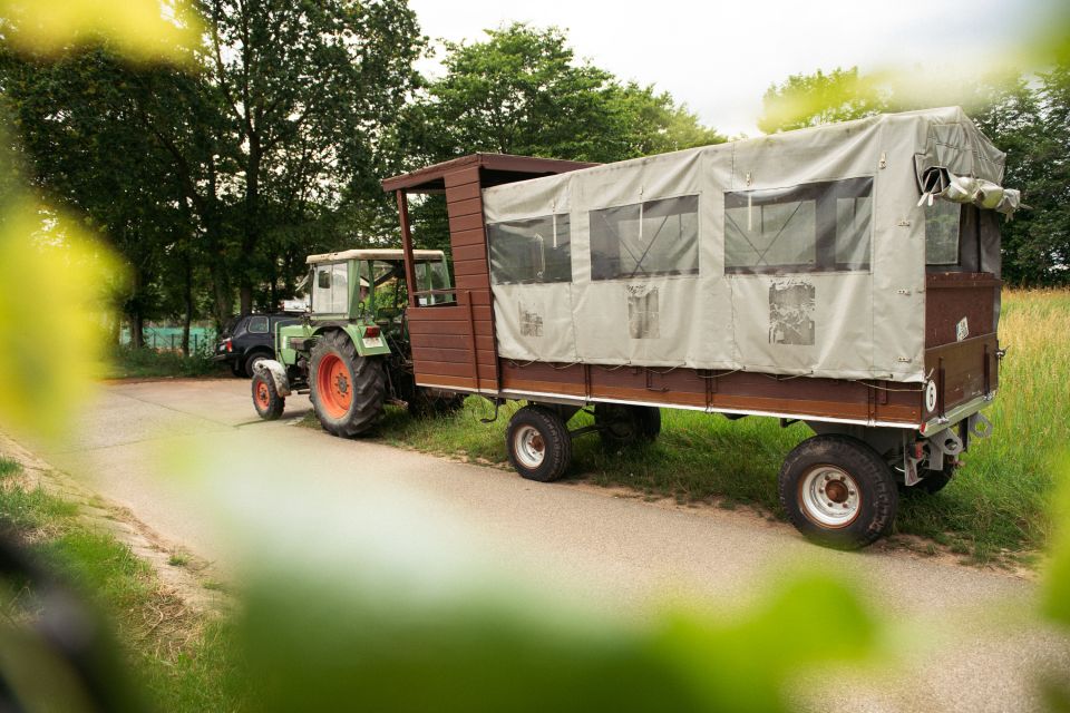 Stuttgart: Vineyard Tour by Covered Wagon - What to Expect