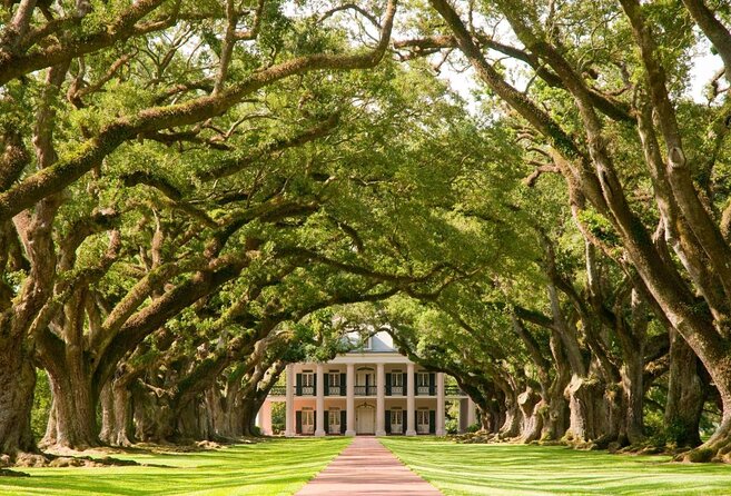 Swamp Boat Ride and Oak Alley Plantation Tour From New Orleans - Departure Times and Meeting Point