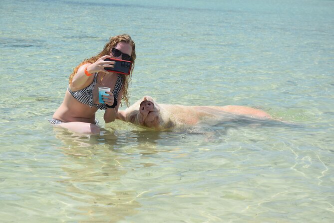 Swimming With Pigs in Nassau, Transportation Included - Interacting With the Pigs