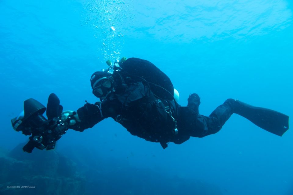 Tenerife: Private Dive for Beginners From a Boat - Equipment Provided