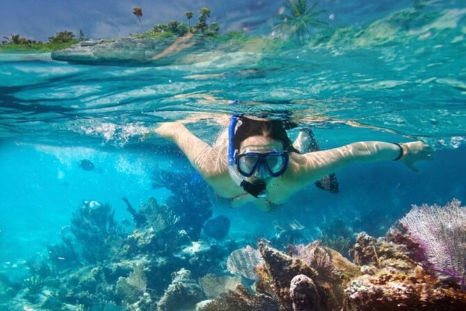 The Jewel of Muscat Sea, Daymaniyat Islands - Snorkeling the Underwater Wonders