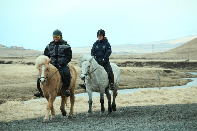 The Viking Horse Riding Experience in North Iceland - Unique Icelandic Horse Gait