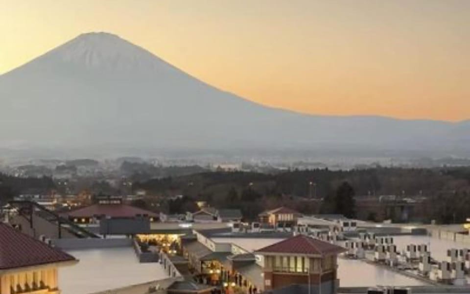 Tokyo: Mount Fuji Lake Ashi Tour Review - Important Information