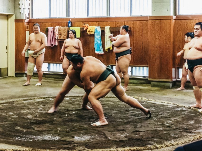 Tokyo: Sumo Morning Training Visit - Customer Reviews and Ratings