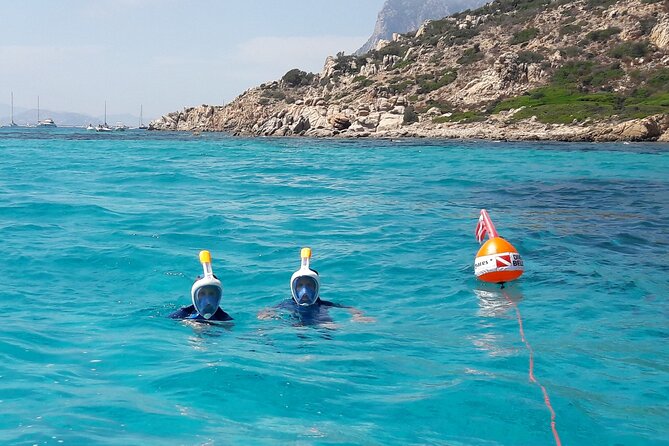 Tour in Rubber Dinghy and Snorkeling in the Protected Marine Area of Tavolara - Recommendations and Restrictions