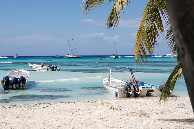 Tour to Saona Island - Highlights of Saona Island