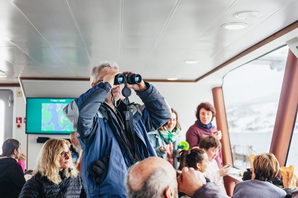 Tromsø: Arctic Fjord Cruise by Hybrid-Electric Catamaran - Booking Information