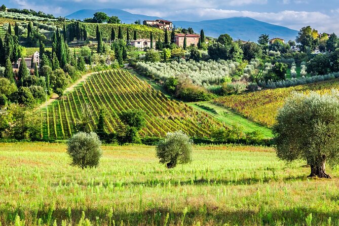 Tuscany Private Tour With Wine and Cheese Tasting From Florence - Transport by Air-Conditioned Mercedes Minivan