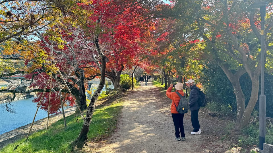 Uji & Fushimi Inari Adventure: Tea, Temples, and Torii Gates - Exclusive Activities