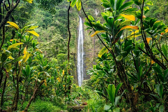 VIP Private Road to Hana Tour With Pick up - Booking and Pricing