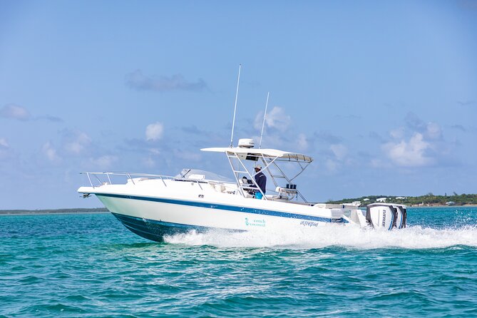 Visit the Ocean Swings! Full Day Harbour Island Private Boat Tour - About the Operator