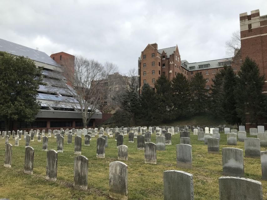 Washington, DC: Georgetown Architecture Walking Tour - Customer Feedback