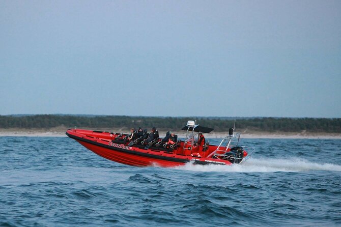 Whale Watching by RIB Speedboat From Downtown Reykjavik - Boat and Equipment