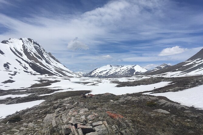 Wilcox Pass - Group Size and Guides