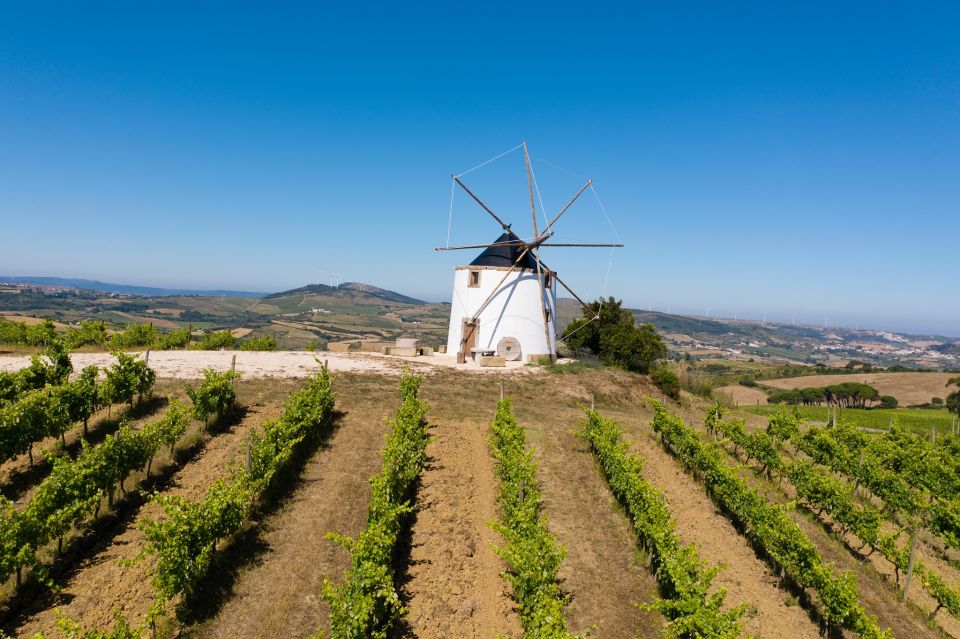 Wine Tour From Lisbon With Tastings & Winemaker for a Day - Cancellation and Booking