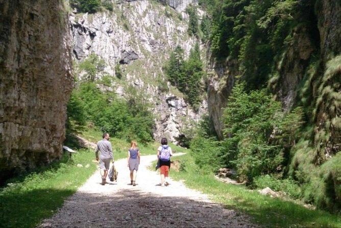 1 Day CARPATHIAN PEAKS & CHALETS Hike - Guided Trek for Safety