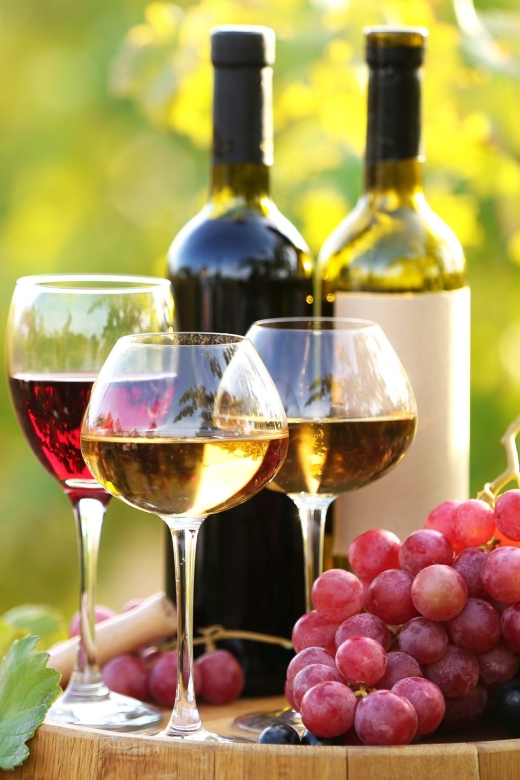 11 Course Lunch, Wine Tasting & Cooking Mastery in Rhodes - Professional Wine Tasting