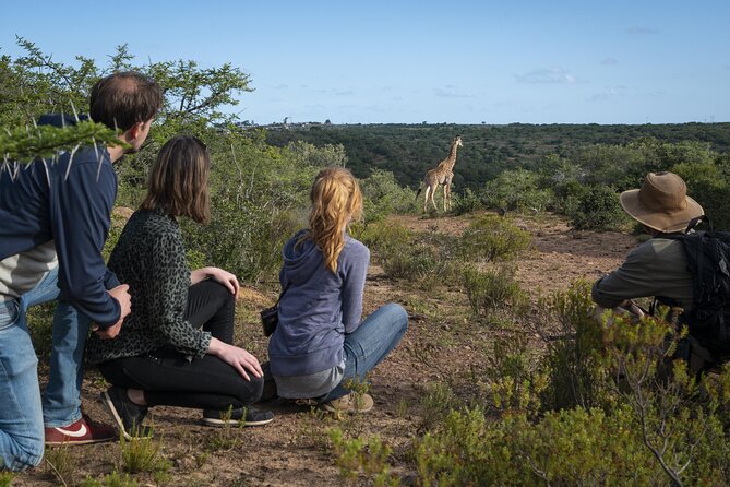 2 Day Addo Elephant Park Safari - Cancellation Policy