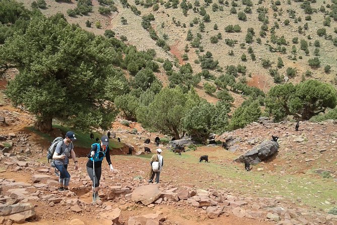 2-Day Guided Trek of the Atlas Mountains and Berber Villages - What to Bring