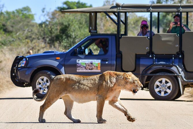 3-Day Tour of Kruger National Park From Skukuza Airport - Participant Requirements