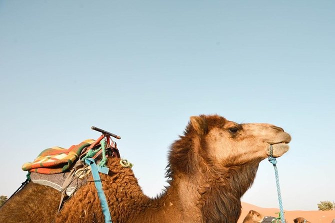 3 Days Desert Tour From Fes to Marrakech via Merzouga - Exploring Kasbahs Along the Way