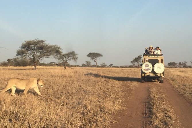 4 Days, 3 Nights Group Budget Safari, Lake Manyara, Serengeti, Ngorongoro - Additional Information