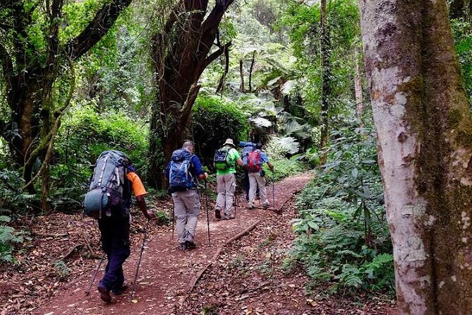 7-Day Machame Route Tour - Recommended Fitness Level