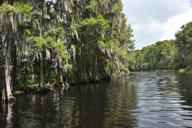 90 Minute Everglades Airboat Tour Near Orlando Florida - Highlights and Recommendations