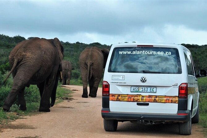 Addo Elephant National Park From Port Elizabeth - FD01 - Cancellation Policy