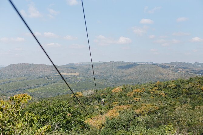 Aerial Cable Trail in Hazyview - Transportation and Logistics