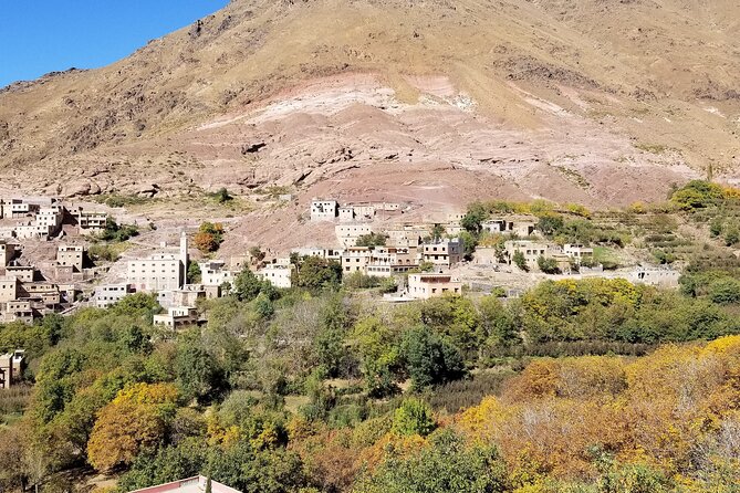 Agafay Desert Full-Day Trip From Marrakech and Camel Ride - Meeting Points and Accessibility