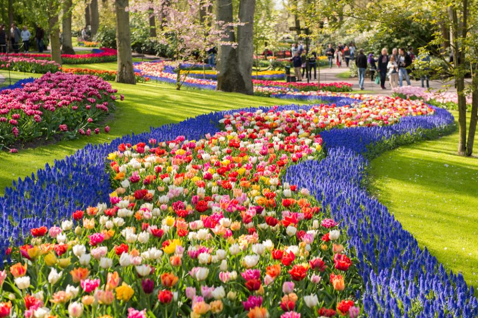 Amsterdam: Keukenhof Gardens Guided Tour Spanish and English - Frequently Asked Questions