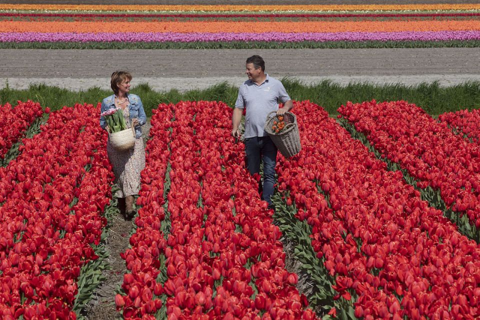 Amsterdam: Keukenhof, Tulip Farm Full-Day Tour With Cruise - Customer Reviews