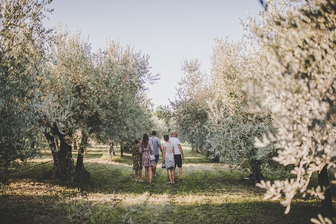 An Authentic Istrian Olive Oil, Wine & Local Food Experience Near Umag - Meeting Point and Start Time