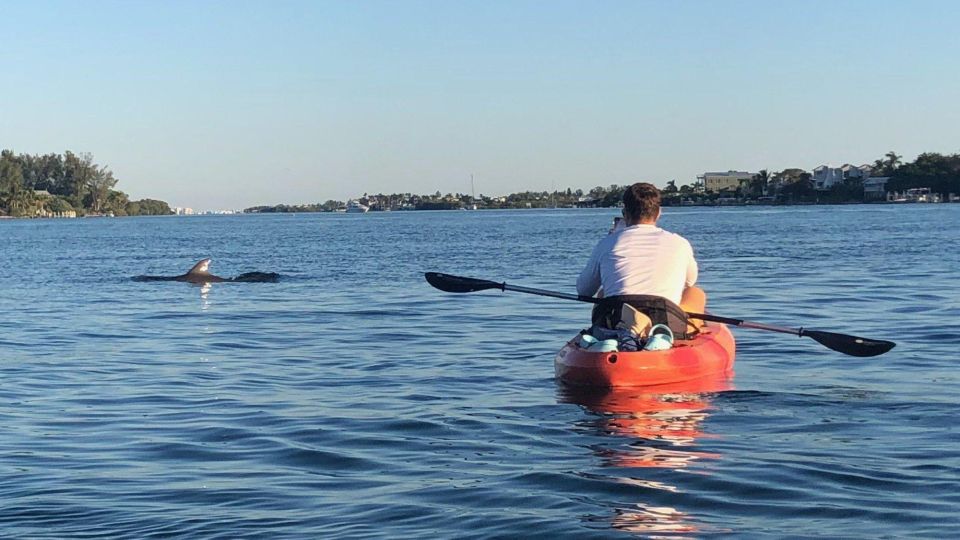 Anna Maria Island: The Island Kayak Tour - Booking and Availability Details