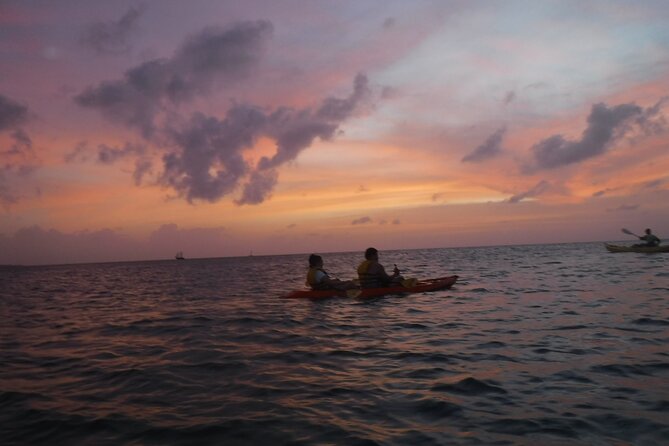 Aruba Night Glass Kayak Tour - Complimentary Refreshments